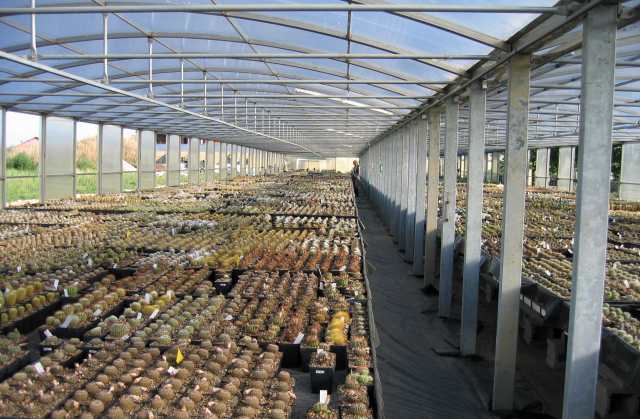 Greenhouse